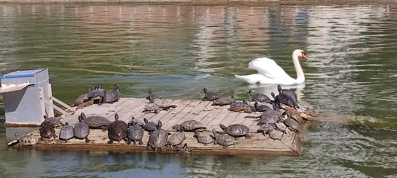 Parque Del Mediterraneo Málaga