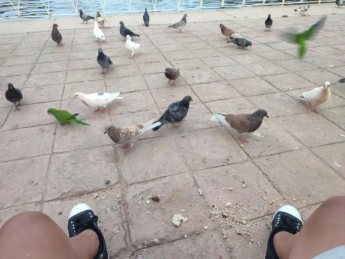 Parque Del Mediterraneo Málaga Spanyolország